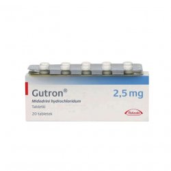 Гутрон таблетки 2,5 мг. №20 в Ноябрьске и области фото